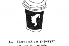 07-Cappucino-von-Robert